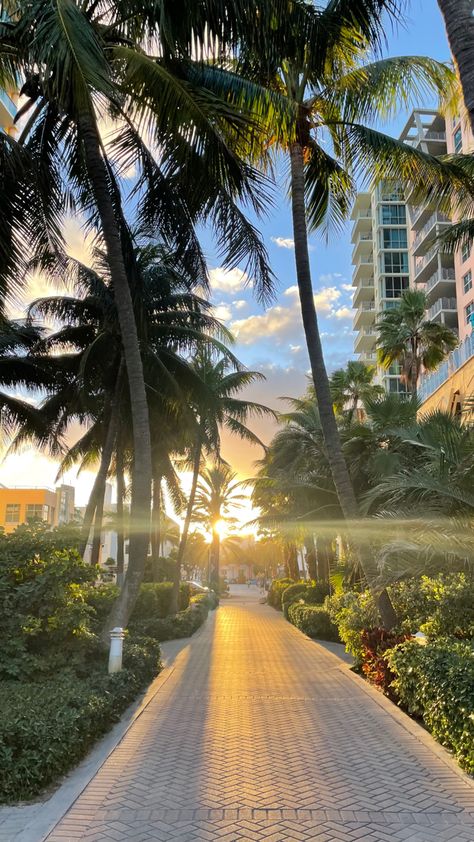 Pictures Of Miami Florida, Aesthetic Views Nature, Florida Asthetic Picture, Florida Sunset Aesthetic, Miami Sunset Aesthetic, Florida Wallpaper Aesthetic, Florida Aesthetic Instagram, Travel Aesthetic Florida, Florida Vibes Aesthetic