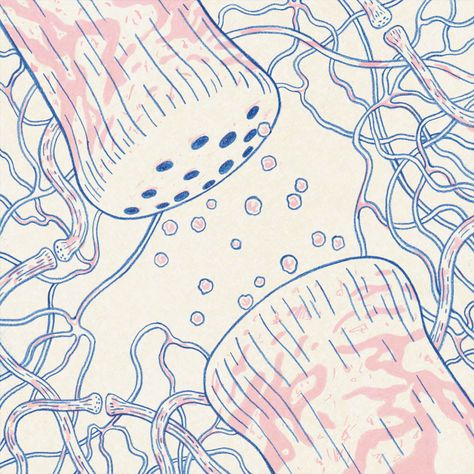 via GIPHY illustration of chemical communication across a synapse of a brain cell (neuron). Biology Art, Brain Art, Science Illustration, Bio Art, Medical Art, Scientific Illustration, Medical Illustration, Art And Illustration, Ethereal Art