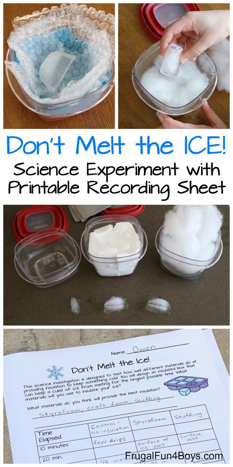 Science Experiments Kids Elementary, Science Experiment For Kids, Winter Science, Experiment For Kids, Science Club, Kid Experiments, Science Activities For Kids, Kindergarten Science, Stem Projects