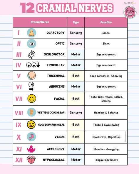 ATTN NURSING STUDENTS! Do you know all 12 Cranial Nerves AND their types and functions? 🧠 I STRONGLY suggest reviewing this chart before you start nursing school (& definitely before Health Assessment) to make it easier when learning how to assess those cranial nerves! What mnemonic did you use to help you remember the 12 cranial nerves? 👀 I’ll share mine in the comments! Double tap & be sure to save for later! #cranialnerves #nursingschool #anatomynotes #visuallearner #studytips #nursin... Mnemonic For Cranial Nerves, Htn Meds Nursing Students, Cranial Nerves Notes, Cranial Nerves Nursing, Cranial Nerves Assessment, Nursing Process Concept Map, Cranial Nerve Assessment, Cranial Nerves Mnemonic Cheat Sheets, Cranial Nerves How To Remember