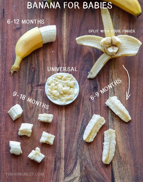 How To Baby Led Weaning, Baby Led Weaning First Foods 6 Months No Teeth, First Foods For 7 Month Old, Blw Recipes 5 Months, Baby Led Weaning First Foods 6 Months Meal Ideas, How To Cut Food For Baby Led Weaning, Baby Lead Weaning 6months, Lead Weaning Foods, First Baby Led Weaning Foods