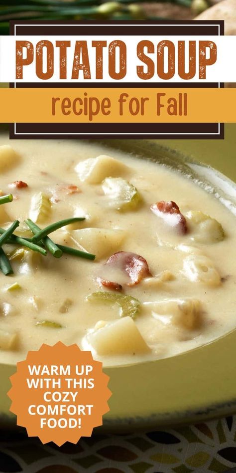 Cozy up this fall with a delicious homemade potato soup! 🥔🍂 This creamy, hearty recipe is packed with flavor and perfect for chilly days. Easy to make and great for meal prep, it’s the ultimate comfort food. Serve it with crusty bread for a warming meal that everyone will love! Potato Zucchini Soup, Homemade Potato Soup Recipe, Easy Homemade Potato Soup, Red Potato Soup Recipes, Potato Soup With Real Potatoes, Potato Soup Recipes Homemade, Old Fashion Potato Soup, Homemade Potato Soup Easy, Potatoe Soup Recipe Best