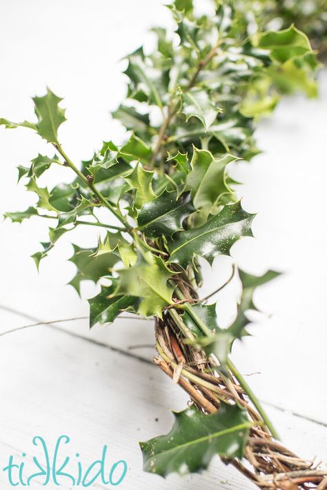 Holly Decorations Christmas, Holly Wreath Diy, Decorating With Holly, Christmas Holly Decorations, Holly Decor, Christmas Wreath Diy, Fresh Christmas Wreath, Holly Bush, Wreath For Christmas