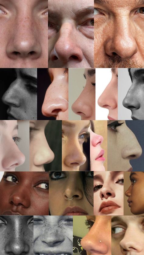 Reference material, real photos, noses Nose Types Reference, Nose Art Study, Nose Angles Reference Photo, Nose Art Reference Photo, Nose Refrences Drawings, Different Noses Reference, Drawing Black Noses, Nose Drawing Guide, Different Nose Drawing