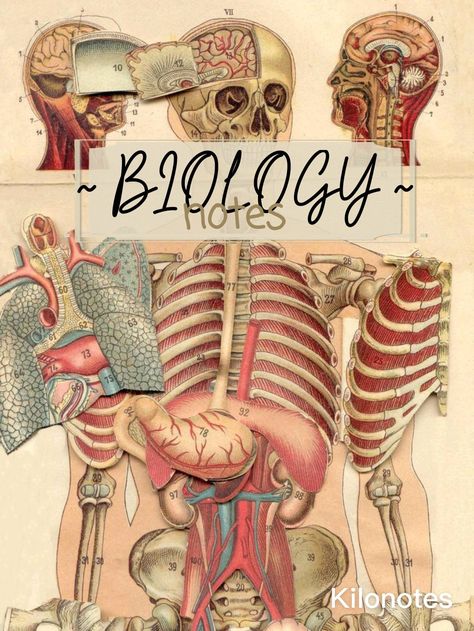 Biology notebook cover page Biology Journal Cover, College Notebook Cover, Aesthetic School Binder Cover Ideas, Biology Notebook Cover Aesthetic, Biology Goodnotes Cover, Science Goodnotes Cover, Goodnotes Notebook Cover Biology, Biology Notion Cover, Biology Notes Cover