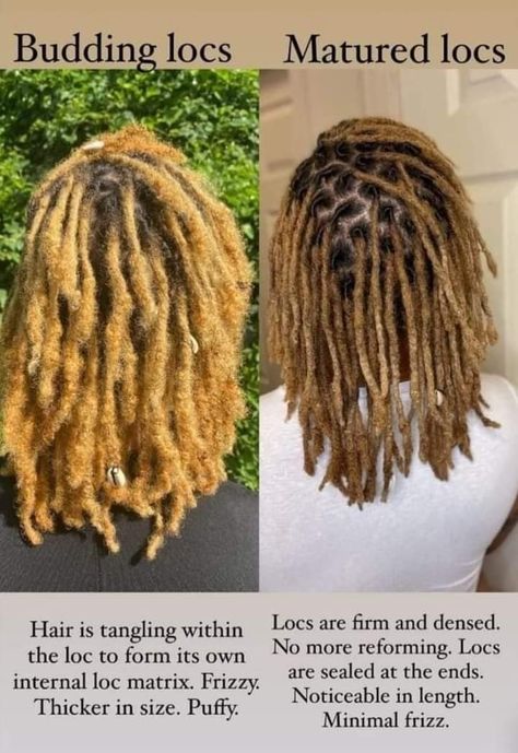 Ftm Hairstyles, Dreadlocks Hair Care, Dreadlock Maintenance, Dreads Care, Loc Care, Locs Journey, Beautiful Dreadlocks, Dreadlock Hairstyles For Men, Loc Inspiration