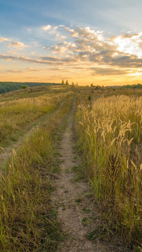 Download free HD wallpaper from above link! #field #grass #path #track #nature #dusk Field Wallpaper, Grassy Field, Shotting Photo, Nature Aesthetic, Pretty Places, Country Life, Farm Life, Pretty Pictures, Beautiful Landscapes