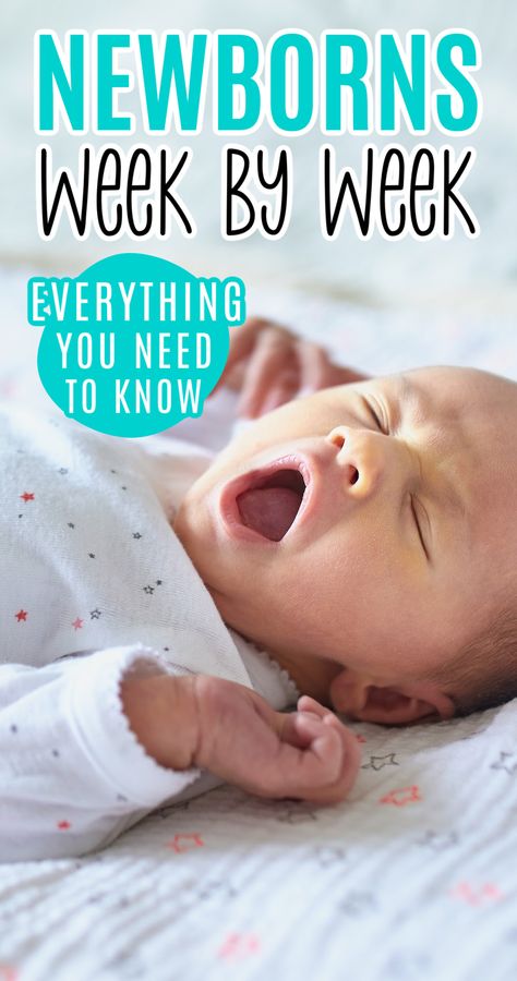 Newborn Activities By Week, Newborn 1 Week Photo Ideas, Newborn Momentos, Newborn Week By Week Development, Newborn Week By Week, First Two Weeks With Newborn, Newborn Must Knows, Newborn Baby Sleep Schedule, 2 Week Newborn Photos