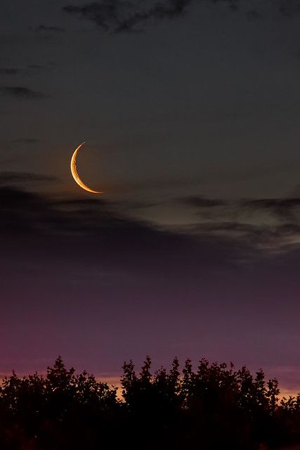 The Golden Crescent | A young 2 days old moon seen after sun… | Flickr The Night Sky, Night Sky, The Sky, The Moon, Trees, Moon