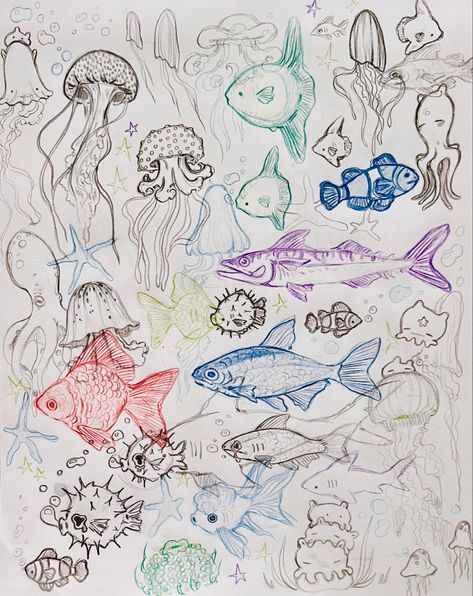 Trippy Fish Drawing, Aesthetic Sea Creatures Drawing, Fish Drawings Colorful, Sea Creatures Reference, Sea Theme Drawings, Fish Drawings Aesthetic, Different Types Of Fish Drawing, Marine Life Pictures, Funky Ocean Art