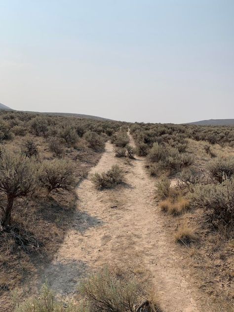 Wagon wheel ruts in the desert Oregon Trail Aesthetic, Oregon Trail History, Oregon Trail Pioneers, Air America, American History Homeschool, California Trail, Progressive Dinner, The Oregon Trail, Wilde Westen