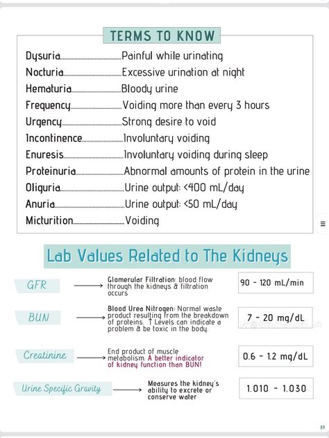 Mnemonics For Pharmacology, Cna Notes, Np Advanced Pharmacology, A&p Notes Nursing Schools, Insulin Medication Nursing Mnemonics, Pharmacology Notes, Pharmacy School Study, 6 Rights Of Medication Administration Nursing Mnemonics, Charting For Nurses