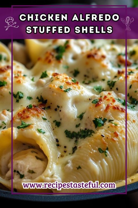 Delight in the creamy, cheesy goodness of Chicken Alfredo Stuffed Shells, featuring tender jumbo pasta filled with a savory chicken and cheese mixture, all smothered in a rich homemade Alfredo sauce. Perfect for family dinners or special occasions! Chicken Alfredo Dinner, Jumbo Shell Recipes, Alfredo Sauce Easy, Alfredo Stuffed Shells, Chicken Alfredo Stuffed Shells, Chicken Stuffed Shells, Shell Pasta Recipes, Comfort Food Chicken, Chicken And Cheese