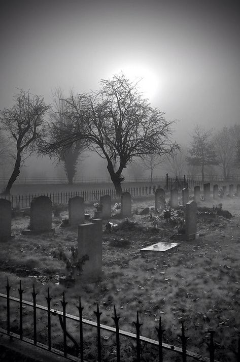 estar alerta❤Después no hay después....#vientos del alma# The Fog, Cemetery, Trees, Black And White, White, Black, Art