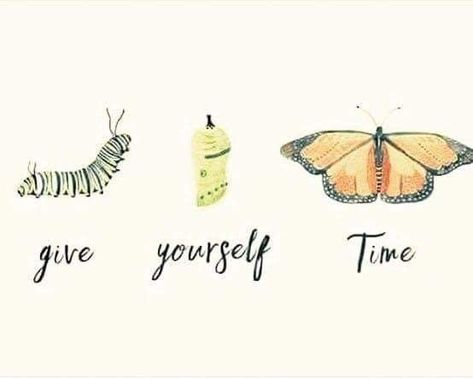 Positiva Ord, Give Yourself Time, Fina Ord, Motiverende Quotes, A Butterfly, Caterpillar, The Words, Beautiful Words, Mantra