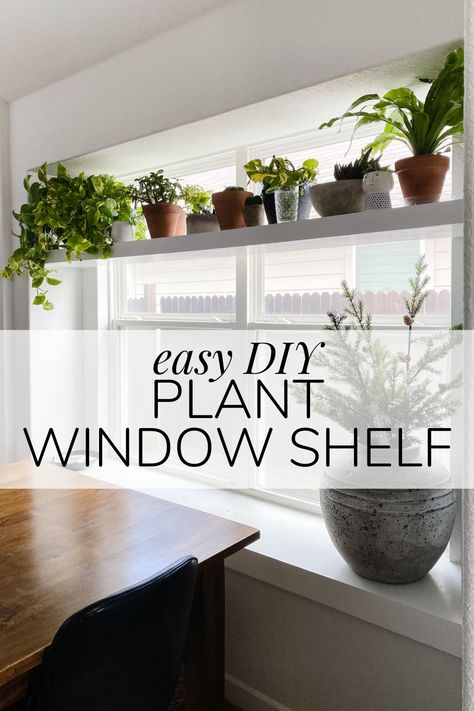 Plant Window Shelf, Shelf Over Window, Kitchen Window Plants, Window Shelves For Plants, Window Shelf For Plants, Shelf For Plants, Plant Ledge, Window Plant Shelf, Ledge Decor