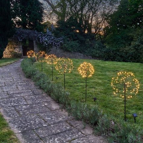 Solar Dandelion Outdoor Light Dandelion Light, Decorative Glass Jars, Growing Greens, Energy Conservation, Solar Led, White Led Lights, Colour Light, Twinkle Lights, Turn Off