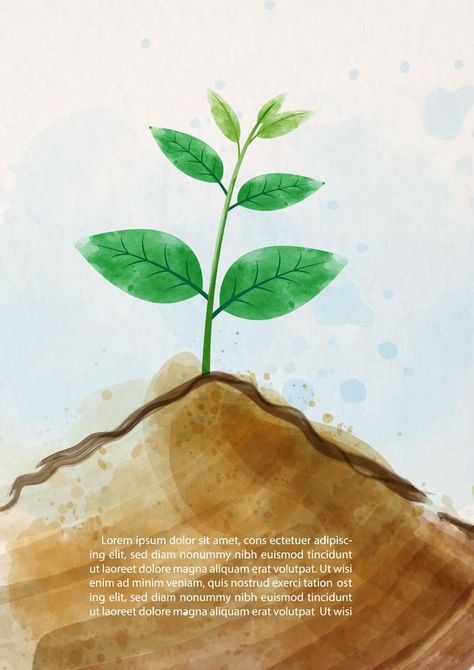 Image of small plant growing in a soil and draw in water colors style on white paper pattern background. Card and poster's campaign of world soil day in vector design. Soil Drawing, World Soil Day, Buddhist Art Drawing, Journal Inspiration Writing, Plant Growing, Bullet Journal Lettering Ideas, Plant Drawing, Water Colors, Buddhist Art