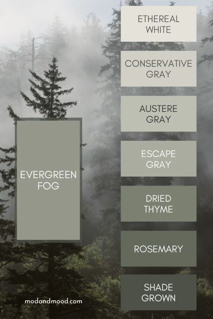 Sherwin Williams Evergreen Fog, Foto Scale, Desain Ux, Evergreen Fog, 2022 Color Of The Year, Brown Roof, House Color Palettes, Pintura Exterior, Sherwin Williams Paint Colors