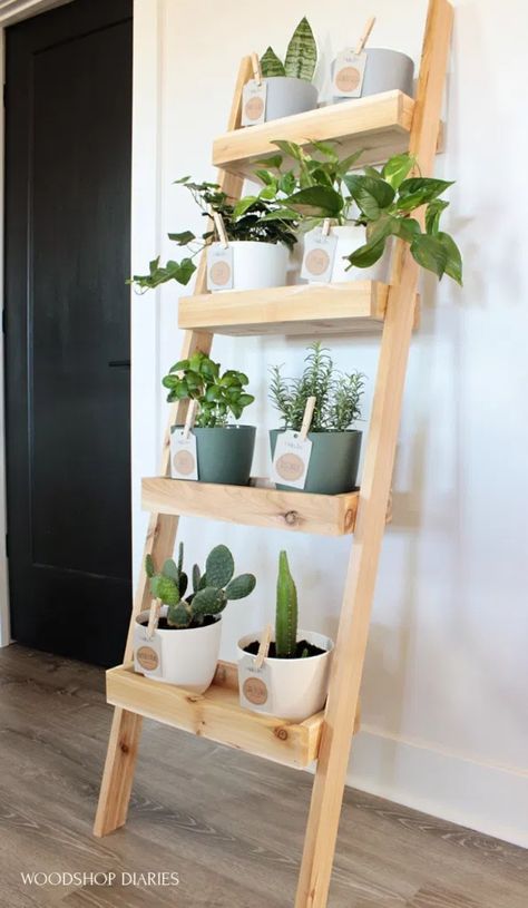 DIY Plant Ladder Shelf {A Renter Friendly Indoor Garden Idea!} Ladder Stand, Ladder Planter, Ladder Plant Stand, Ladder Shelf Diy, Plant Ladder, Garden Ladder, Indoor Plant Shelves, Diy Ladder, Diy Dresser Makeover