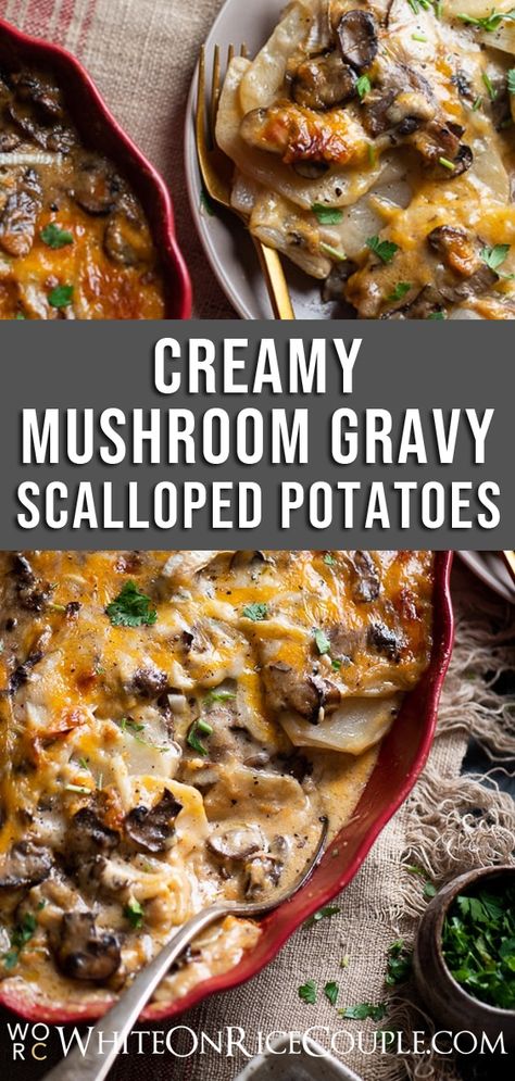 Mushroom Gravy Scalloped Potatoes Recipe | @whiteonrice Mushroom Potato Recipe, Recipe For Scalloped Potatoes, Potato Mushroom Recipe, Creamy Mushroom Gravy, Christmas Potatoes, Scalloped Potatoes Recipe, Au Gratin Potato Recipes, Mushroom Gravy Recipe, Au Gratin Recipes