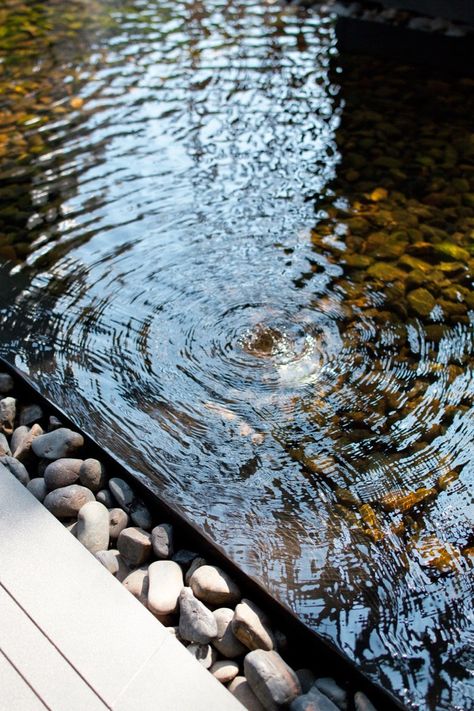 Vertical Living Gallery- Bangkok,Thailand- Sansiri PCL + SdA + Shma Image Zen, Outdoor Water Features, Garden Water Feature, Pool Water Features, Pond Water Features, Pool Fountain, Water Pond, Landscape Elements, Modern Garden Design