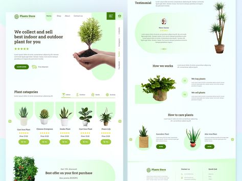 Plant Website, Flat Design Website, Website Branding Design, Simple Modern Interior, Login Page Design, Plant Store, Colorful Website, Creative Aesthetic, Herb Shop