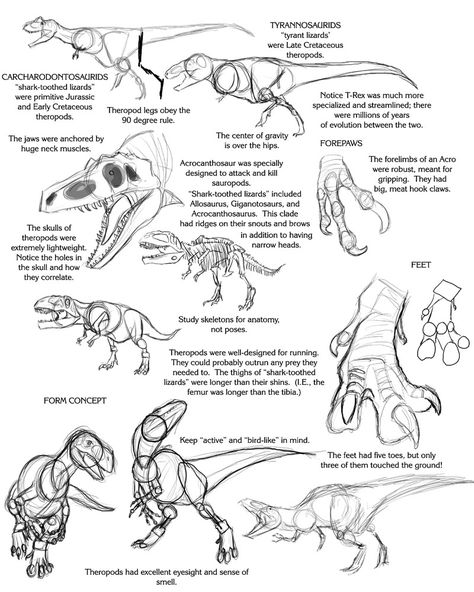 Scary Dinosaur Drawing, Raptor Art Reference, Leaping Drawing Reference, Dino Feet Drawing, How To Draw A Raptor, Raptor Drawing Reference, Dinosaur How To Draw, Dinosaur Anatomy Drawing, Dinosaur Reference Drawing