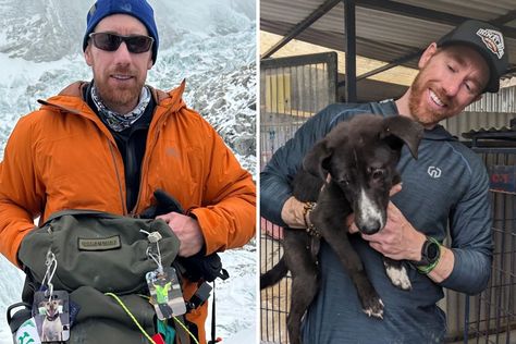 Wisconsin Man Scatters Dog's Ashes on Everest, Brings 3-Legged Rescue Home - Newsweek Shih Tzu Mix, Street Dogs, Foster Family, Great Pyrenees, Heart Warming, Sweet Dogs, Walk In The Woods, Beloved Dog, Heartwarming Stories