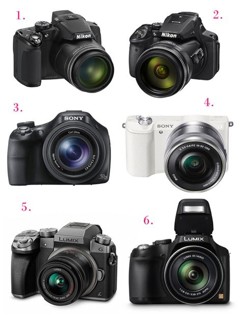 Daily Dose of Design: Finding the Right Camera for You: Great Cameras for Beginners Canon Camera For Beginners, Digital Art Easy, Best Professional Camera, Beginner Photography Camera, Best Canon Camera, Best Camera For Photography, Digital Art Software, Digital Camera Photography, Amazon Electronics