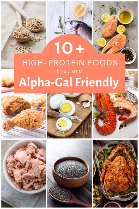 Best Vegetarian Protein Sources, Animal Protein Sources, Best Vegetarian Protein, Vegan Proteins, Alpha Gal, High Protein Foods, Turkey Cutlets, Cow's Milk, Beef And Pork