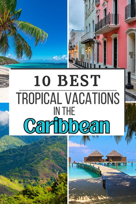 The Top Tropical Vacation Destinations in the Caribbean from relaxing white sand beaches to snorkeling adventures. 

Whether your cruising to the Caribbean of planning a Caribbean Vacation, there is something for you on this list. 

#tropicalvacationdestinations #tropicalvacation #caribbeanvacation #beachday #beach #cruisecaribbean #cruise #caribbean #affiliatelink #tpstravels Vacation Places Tropical, Tropical Vacation Spots, Best Tropical Vacations, Cruise Caribbean, Tropical Vacation Destinations, Caribbean Vacation, Tropical Vacations, Tropical Resort, Caribbean Vacations