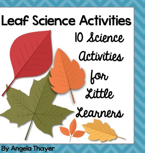 Leaf Science Activities Parts Of A Leaf, Alphabet Formation, Leaf Science, Leaf Hunt, Fall Science Activities, Hibernation Activities, Prek Science, Winter Science Activities, Fall Science