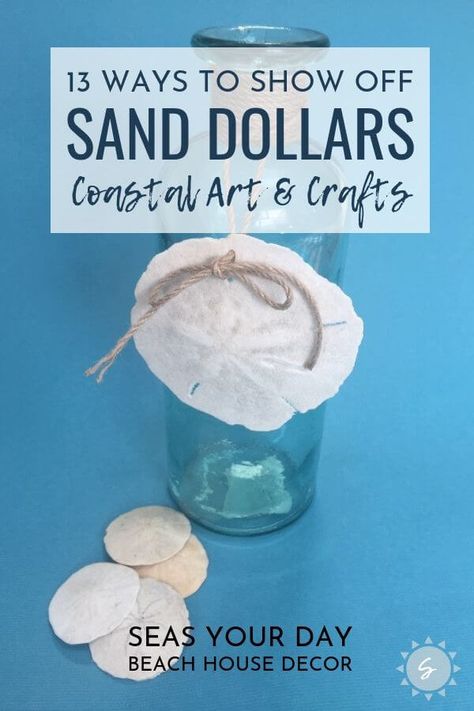 Sand Dollar Ideas Diy, Decorating With Sand Dollars, What To Do With Sand Dollars Ideas, What To Make With Sand Dollars, Sand Dollar Diy Projects, Pansy Shells Ideas, Sanddollar Crafts Home Decor, Sand Dollar Wreath Diy, Sea Life Decorations Diy Ideas