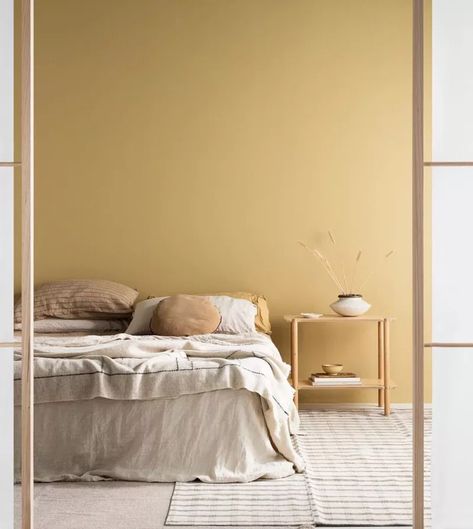 Light Orange Wall Color, Small Home Wall Colors, Pale Orange Walls, Bedroom Paint Colours 2023, Pastel Orange Room, Yellow Paint Bedroom, Light Orange Room, Light Orange Walls, Paint Colours 2023