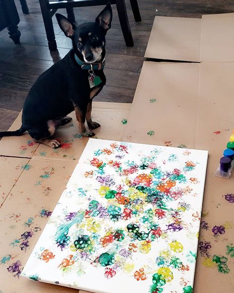 Diy Dog Art Canvas, Art To Make With Your Dog, Art With Your Dog, Art By Dogs, Paw Print Picture Ideas, Art Projects With Dogs, Painting With Your Dog, Dog Made Art, Dog Paws Painting