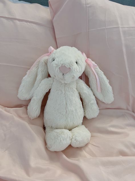 Jellycat Bunny, Jelly Cat, Jellycat Stuffed Animals, Soft Pink Theme, Pink Teddy Bear, Teddy Bear Stuffed Animal, Birthday Wishlist, Cute Stuffed Animals, Bunny Plush