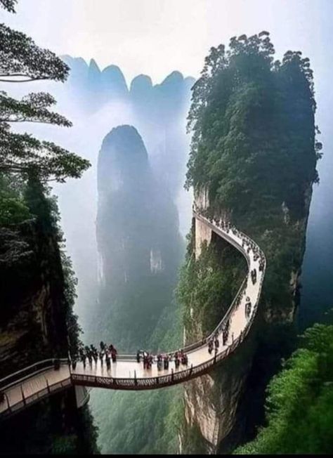 Hunan China, Zhangjiajie, Chinese Landscape, Southeast Asia Travel, Landscape Scenery, China Travel, Travel List, Future Travel, Travel Inspo