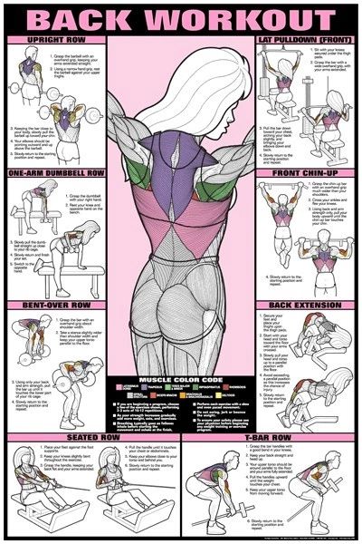 Workout Posters, Trening Fitness, Yoga Equipment, Body Fitness, Diet Keto, Motivation Fitness, Back Exercises, Back Workout, I Work Out