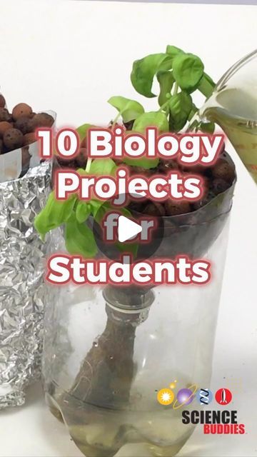 Science Buddies on Instagram: "Interested in biology? Here are some science projects students can do for school or the #sciencefair:  1. Strawberry DNA: https://sbgo.org/biology-strawberry-dna 2. Painting with genetically modified bacteria: https://sbgo.org/biology-paintbacteria (activity); related project: https://sbgo.org/biology-bacteria-transformation-ig 3. Measure photosynthesis with floating leaves: https://sbgo.org/biology-floatingleaves-ig  4. Grow plants in microgravity with an Arduino clinostat: https://sbgo.org/biology-clinostat-ig 5. Turn mud into energy with a microbial fuel cell: https://sbgo.org/biology-fuelcell-ig 6. Hydroponics - gardening without soil:  https://sbgo.org/biology-hydroponics-ig 7. Make bricks with mushroom roots: https://sbgo.org/biology-mushroombricks-ig 8 Bacteria Science Experiment, Science Activity For High School, Best Science Projects High School, Biology Stem Activities, Biology Research Topics, Science Plant Activities, Biology Investigatory Project Class 12, Biology Experiments For Kids, Biology Experiments High School