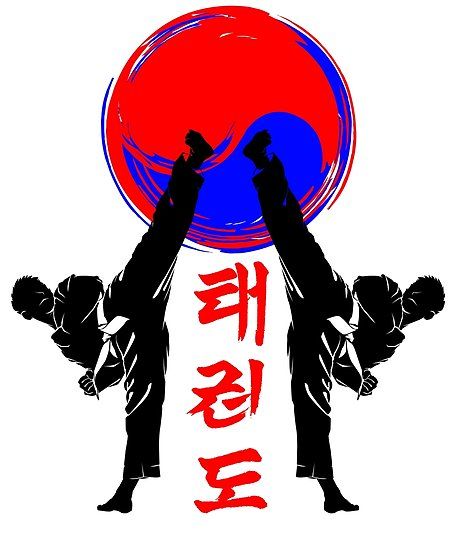 This represent the flag color of South Korea, the land of taekwondo. Suitable for you that love this martial art. ;) • Millions of unique designs by independent artists. Find your thing. Korean Martial Arts, Martial Arts Sparring, High Kick, Pencak Silat, Martial Arts Techniques, Hapkido, Architecture Tattoo, Mom Jokes, Martial Art