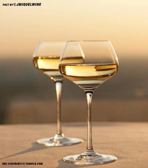 “#Wine is earth’s answer to the sun” ― Margaret Fuller Wine Photography, Wine Art, Wine Cheese, Vermouth, Wine Time, Wine Making, Fine Wine, Wine And Spirits, Wine Drinks