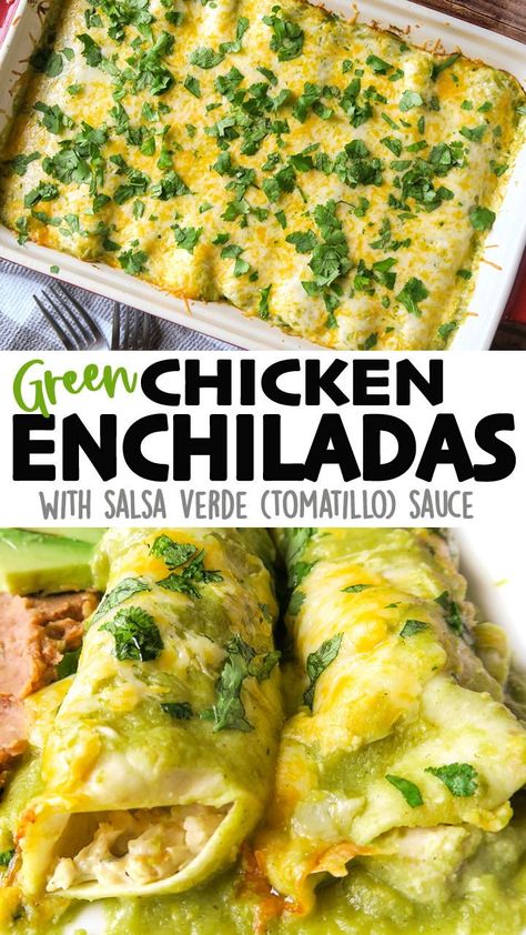 Chicken Chili Verde Enchiladas, Green Enchiladas With Cream Cheese, Green Cream Cheese Enchiladas, Tomatillo Chicken Enchiladas, Tomatillo Sauce Enchiladas, Enchiladas Rotisserie Chicken, Enchalidas Recipes Chicken Enchiladas, How To Make Enchiladas Shredded Chicken, Easy Chicken Enchilada Recipe Green Sauce