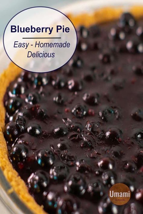 Recipe For Blueberry Pie, Grahm Cracker Crust, Blueberry Rhubarb Pie, Graham Cracker Dessert, Easy Blueberry Pie, Blueberry Pie Recipe, Graham Cracker Crust Recipe, Homemade Blueberry Pie, Funky Food