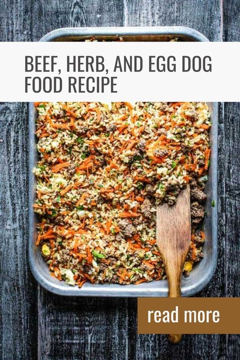 Top 4 Vet Approved Homemade Dog Food For Diabetic Dog Homemade Dog Food Crockpot, Egg Dog, Dog Cake Recipes, Dog Food Recipe, Make Dog Food, Homemade Beef Stew, Dog Treats Homemade Recipes, Dog Cake, Homemade Beef