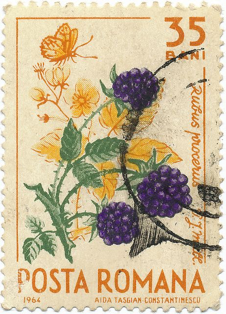 1964 Romanian Stamp - Blackberry by alexjacque, via Flickr طوابع بريد, Penanda Buku, Postage Stamp Design, طابع بريدي, Postage Stamp Art, Vintage Postage Stamps, Vintage Postage, Post Stamp, Arte Inspo