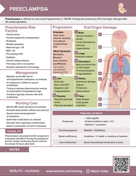 Preeclampsia nursing diagnosis: how to identify signs, understand risk factors, and create a tailored care plan for safe maternal and fetal health 🤱🏻 Hellp Syndrome, Low Platelets, Nursing 101, Nursing Assessment, Nursing Diagnosis, Assisted Reproductive Technology, Nursing Care Plan, Severe Headache, Maternal Health