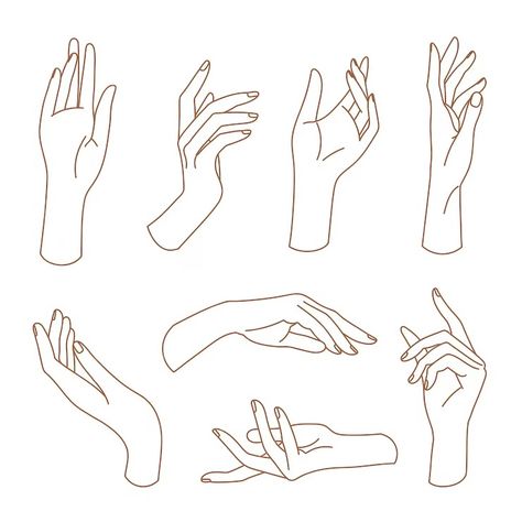 Premium Vector | Set of delicate women's hand in linear style female hands in various gestures Hands Illustration Drawing, Delicate Hand Reference, Woman Hands Drawing, Art Reference Hands, Hand Poses References, How To Draw A Hand, Hand Illustration Design, Hand Poses Drawing, Hand Reference Drawing