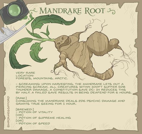 James Gifford, Mandrake Root, Dungeon Master's Guide, D D Items, Magic Herbs, Dnd 5e Homebrew, Dnd Dragons, Dungeons And Dragons Game, Dnd Monsters