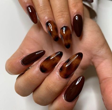 Torte Shell Nails, Nail Tortoise Shell, Nail Inspo Tortoise Shell, Hailey Bieber Tortoise Nails, Tortoise Shell Acrylic Nails, Autumn Nails Tortoise Shell, Tortieshell Nails, Fall Nail Designs Tortoise, Tortoise Shell Nails Blooming Gel